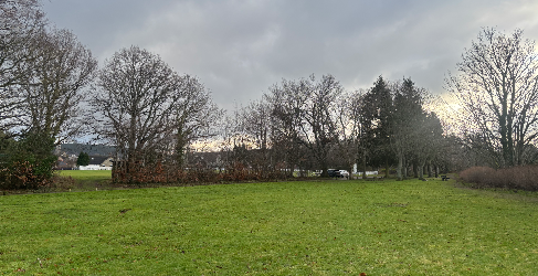 A grassy area surrounded by leafless trees and a overcast sky above