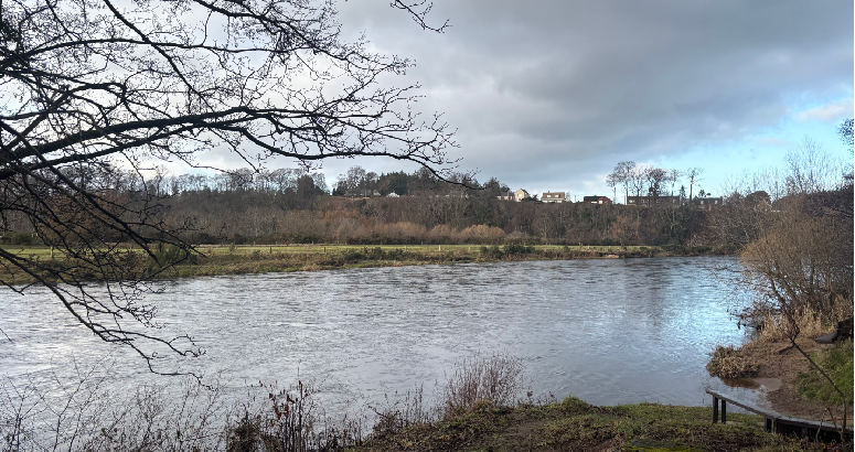 Wide river flowing through a rural landscape, with bare tree branches framing the foreground, grassy riverbanks, and a small cluster of houses on a low hill in the distance under a cloudy sky.