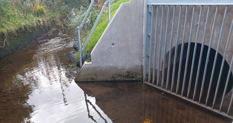 Improving Urban Waters Launch