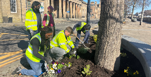 A group of volunteers wearing high-visibility vests are planting flowers and greenery around a tree in an urban setting. Some are kneeling in the soil carefully arranging plants, while others stand nearby. The background features a historic stone building and a clear blue sky, highlighting the community effort to enhance the space.