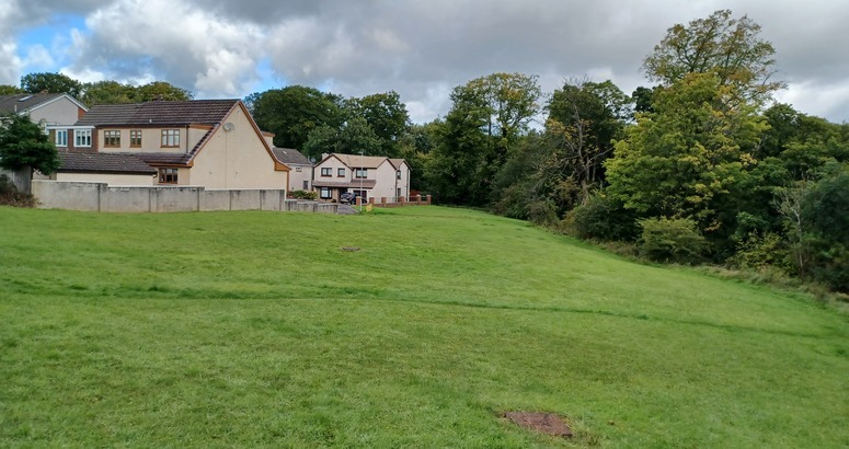Grassland with houses in backgrounded
