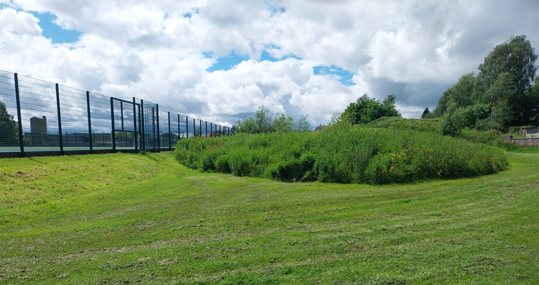 The grassy site next to a sports field where a storm overflow will be constructed is shown