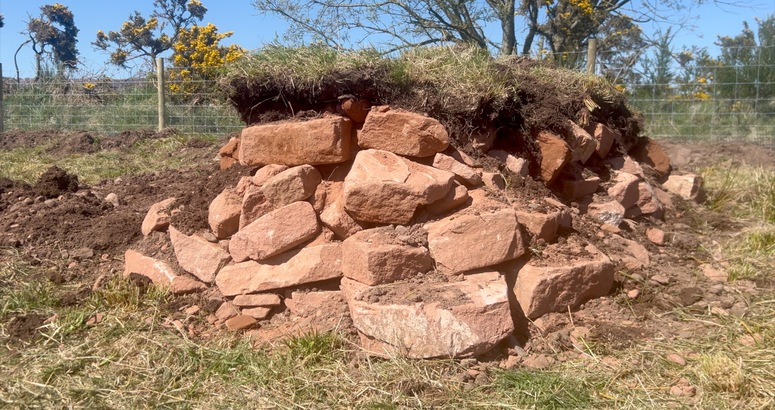 The new hibernacula at Powfoot Wastewater Treatment Works