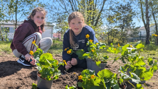 Pupils at St Andrew's Primary School helped to create a new wetland area at the school