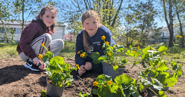 Pupils at St Andrew's Primary School helped to create a new wetland area at the school