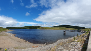 A Reservoir with a dock and grass on the side
