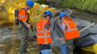 The Clyde River Foundation team carrying out work to safely relocate the fish