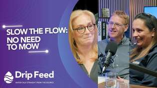 Thumbnail featuring SW employees Georgie Reid left. Annelies McMillan right and guest Brian Cunningham, centre.