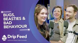 Drip Feed host and guests thumbnail 