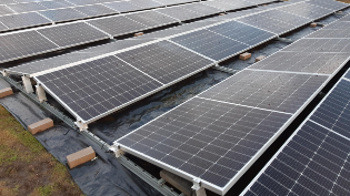 The array will generate 150MWh of electricity a year