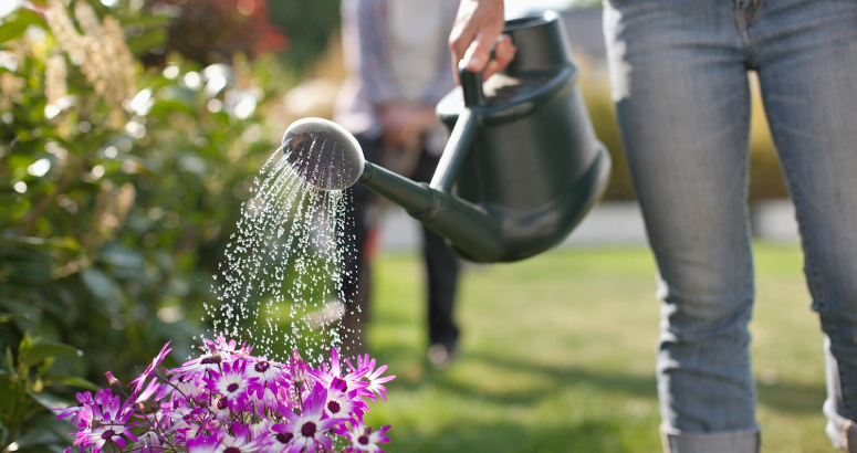 Watering can in the garden