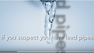 Lead - What you can do