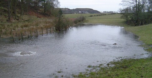 a river with grass and trees and flooding in a field with a leaking pipe bubbling